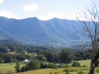 Limpinwood - Escarpment Walls